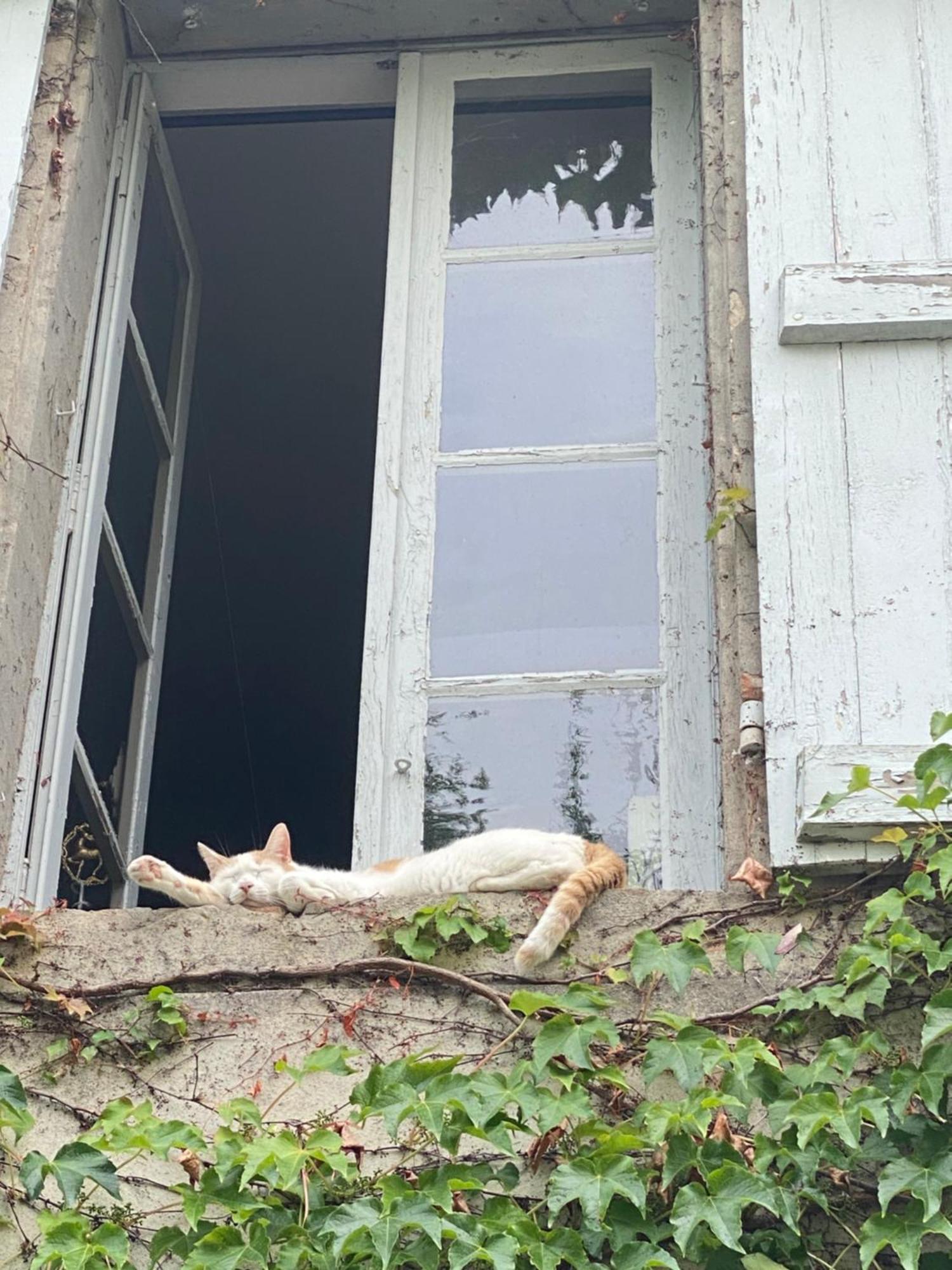 Bed and Breakfast Au Jardin Y Moissac Exterior foto